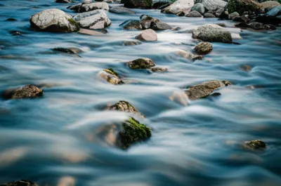 Illustration babbling - Image 1