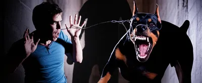 Illustration slated - Image 1