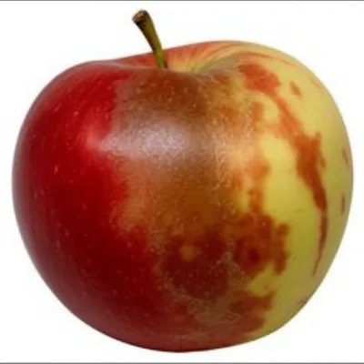 Illustration blotches - Image 1