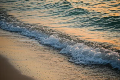 Illustration lapped - Image 1