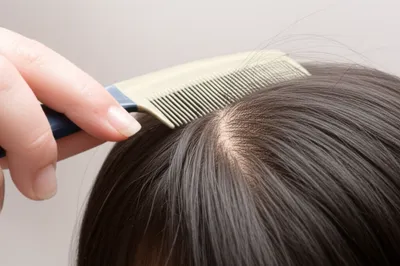 Illustration comb - Image 1