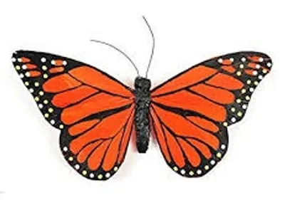 Illustration orange - Image 5