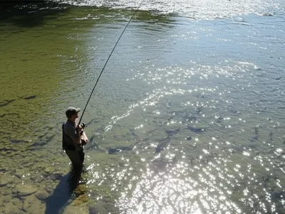 Illustration fisher - Image 1