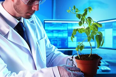 Illustration sciences - Image 1