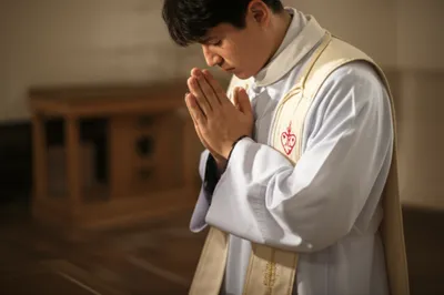 Illustration scapulars - Image 1