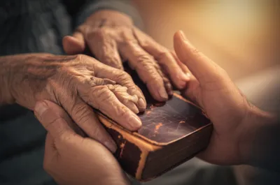 Illustration reversion - Image 1