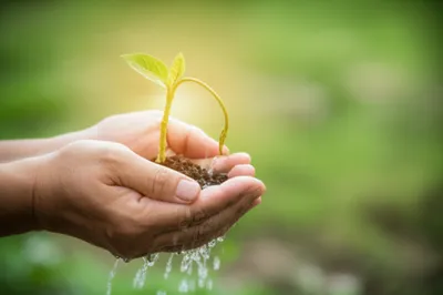 Illustration reassured