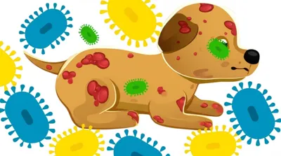Illustration poxvirus - Image 1