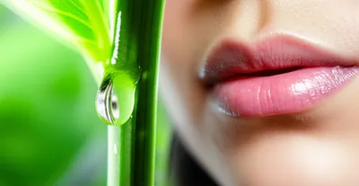 Illustration drool - Image 1