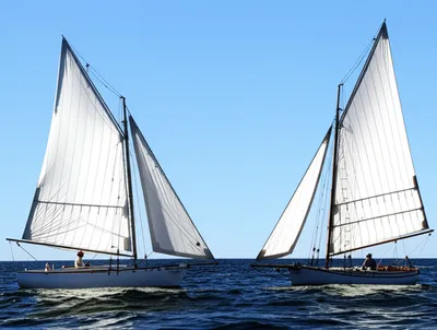 Illustration gunter - Image 1