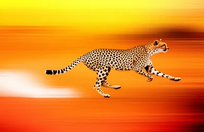 Illustration faster - Image 1