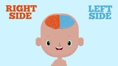 Illustration side - Image 3