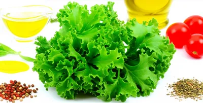 Illustration parsley - Image 1