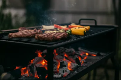 Illustration grille - Image 1