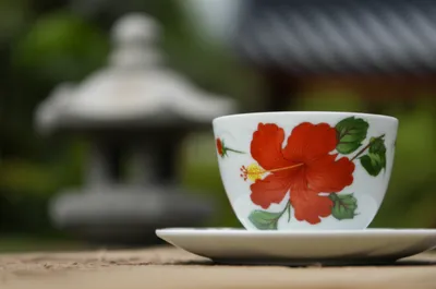 Illustration porcelain - Image 1