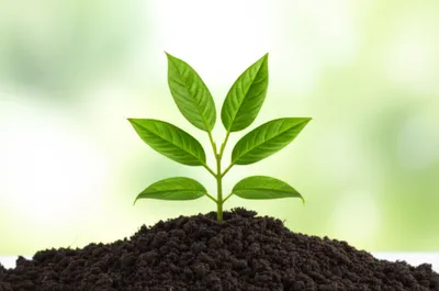 Illustration conditions - Image 1