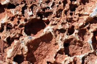 Illustration horrid - Image 2