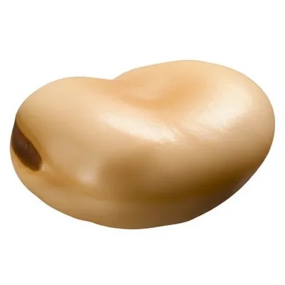 Illustration bean - Image 1