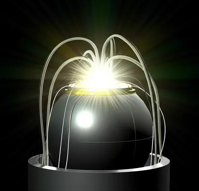 Illustration urchins - Image 1