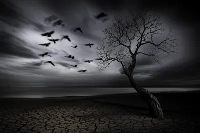 Illustration forebodings