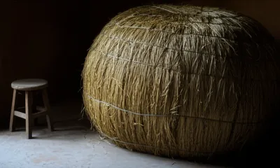 Illustration boss - Image 1