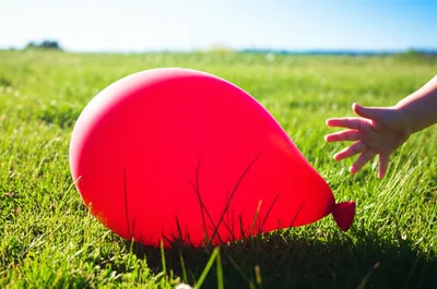 Illustration deflated - Image 1