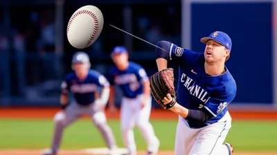 Illustration pies - Image 1