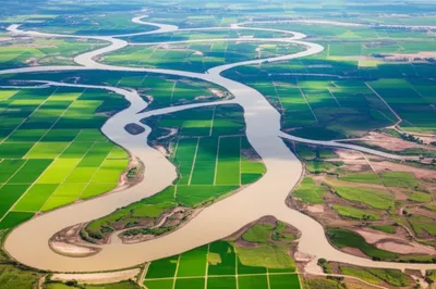 Illustration derived - Image 1