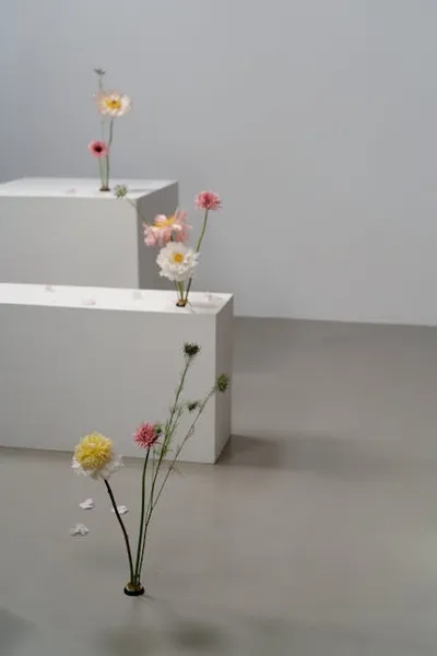 Illustration stands - Image 2