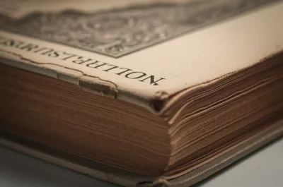 Illustration bastard - Image 1