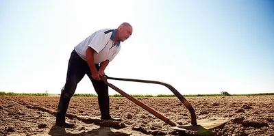 Illustration travailed - Image 1