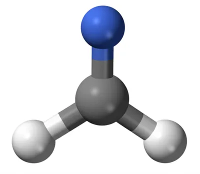 Illustration amines - Image 1