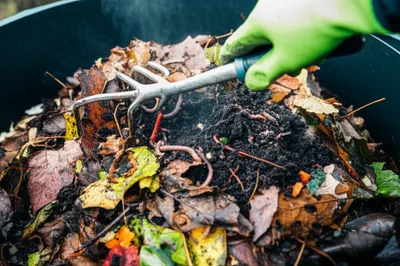 Illustration activate - Image 1