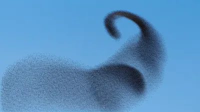 Illustration swarm - Image 1