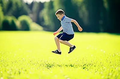 Illustration hops - Image 1