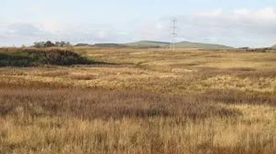 Illustration wild - Image 2