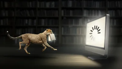 Illustration caches - Image 1