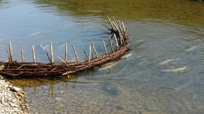 Illustration frith - Image 1