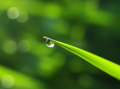 Illustration simplest - Image 1