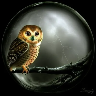 Illustration prognosticated - Image 1