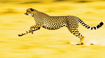 Illustration streaked - Image 1