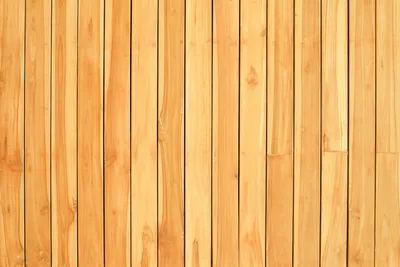 Illustration unvarnished - Image 2