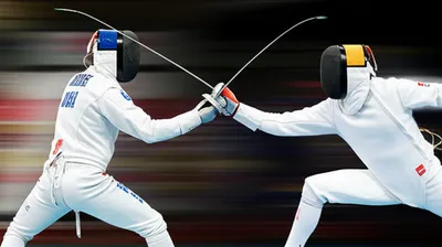 Illustration fenced - Image 1