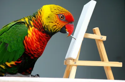 Illustration monkey - Image 1