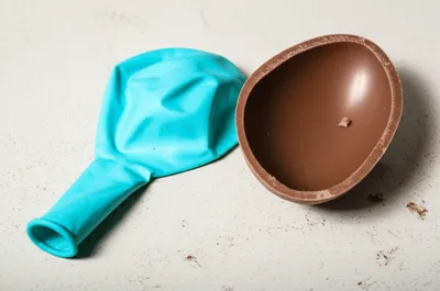 Illustration bladder - Image 1