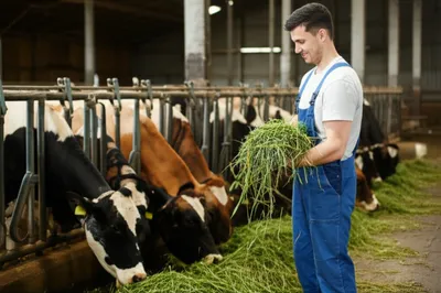 Illustration soils - Image 1