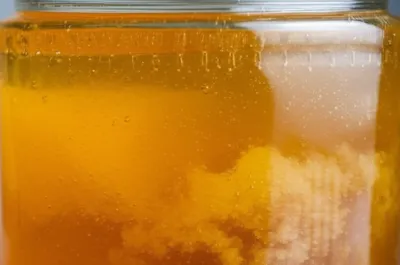 Illustration congealed - Image 1