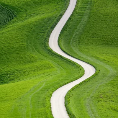 Illustration rho - Image 1