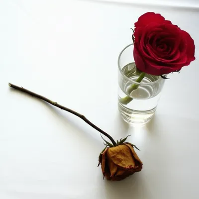 Illustration worse - Image 1