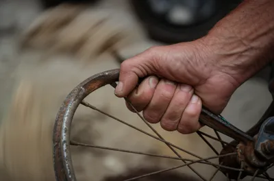 Illustration gripe - Image 1